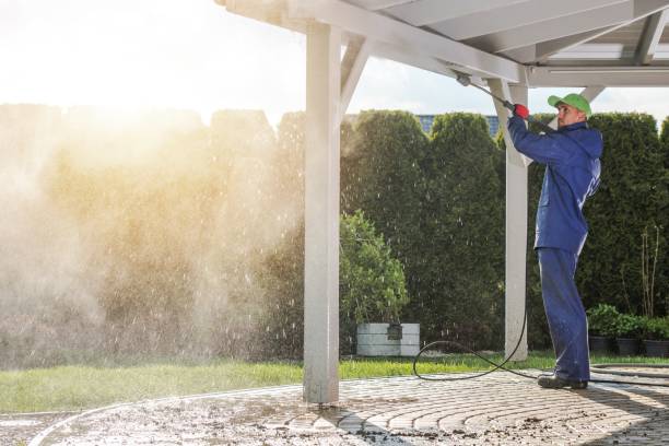 Best Gutter Cleaning  in Lockport, NY