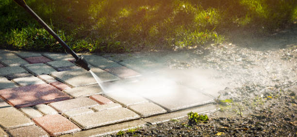 Animal Enclosure Cleaning in Lockport, NY